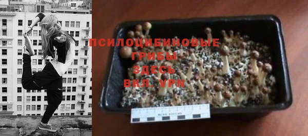 экстази Мегион